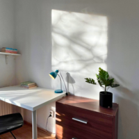 room photo