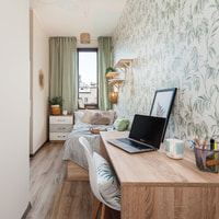 room photo