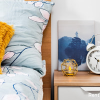 room photo