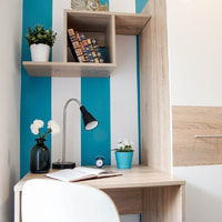 room photo