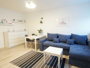 DĄBROWSKIEGO 69   MONOPOLIS  KAWALERKA  1 LUB 2  OSOBY, Łódź-1