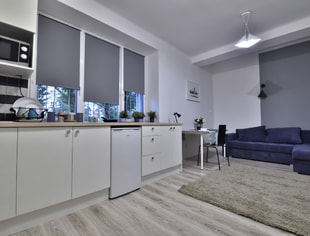 REWOLUCJI 49 DWORZEC FABRYCZNY UŁ STUDIO NR 3 1/2 OSOBY, Łódź-1
