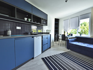 CIESZKOWSKIEGO 4 POLITECHNIKA  STUDIO 1/2 OS.  NR 2, Łódź-1