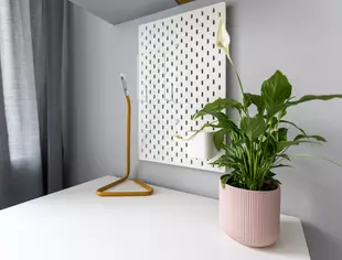 Single room no. 4, Kraków-1