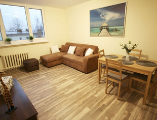 Felińskiego 5A, studio apartment, Łódź-1