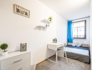 Single room | Miechowska | AGH | Jordan Park | Nawojki | Frog, Kraków-1