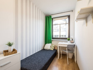 Single room | Miechowska | AGH | Jordan Park | Nawojki | Frog, Kraków-1