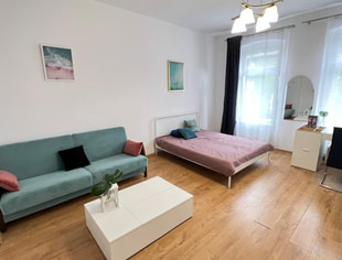 Nowowiejskiego 6/8a/2, Poznań-1