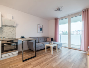 28 m2/ Studio/ Eagle, Bydgoszcz-1
