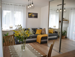 Mieszkanie 1 pokojowe, Kraków Aleksandry 4B, Kraków-1