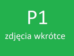 Pokój w centrum, ul. Mikołowska 17 (P1), Katowice-1