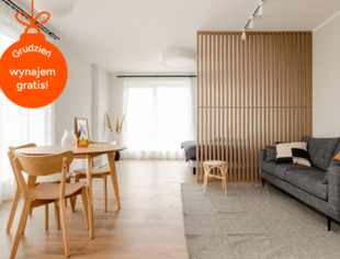 Studio z widokiem | 42.46 m2 | Klimatyzacja | Bezpośrednio, Warszawa-1