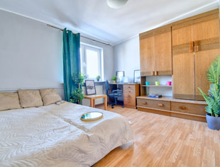 | Studio apartment 28m2| Głogowska Street | Łazarz |, Poznań-1