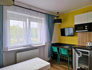 Cozy studio apartment for rent - perfect for a single person or a couple!, Poznań-1