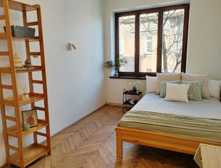 Duży pokój jednoosobowy – ul. Chopina 17(1), Kraków-1