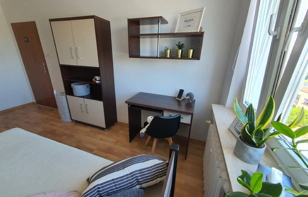 Pokój 1-osobowy nr 6, Poznań-1