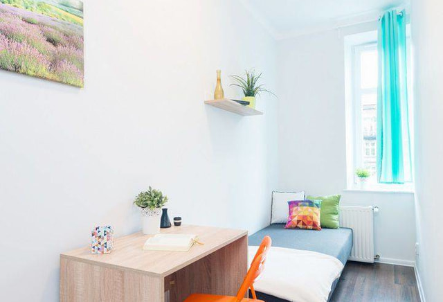 Spacious single room in the center