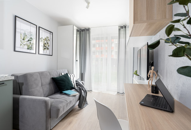 Mini studio apartment