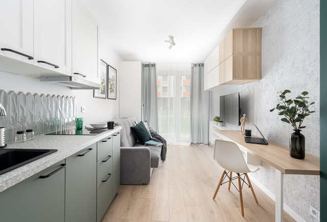 Mini studio apartment