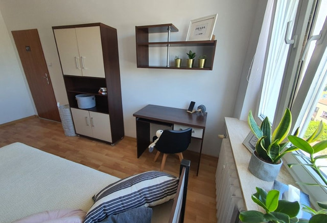 Pokój 1-osobowy  nr 6