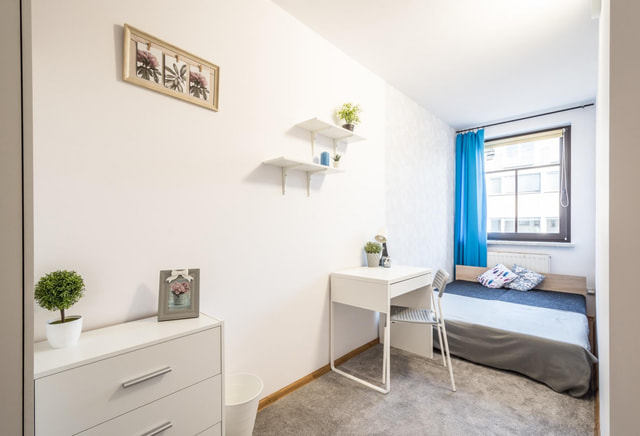 Single room | Miechowska | AGH | Jordan Park | Nawojki | Frog