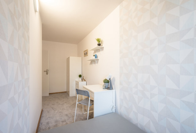 Single room | Miechowska | AGH | Jordan Park | Nawojki | Frog