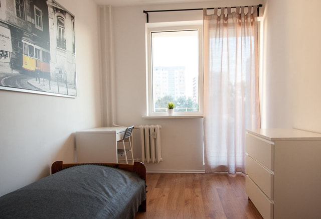 Single room 1