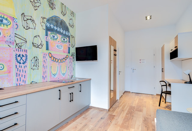 A modern apartment in the heart of city Katowice, Mariacka 13 (P11) single flat