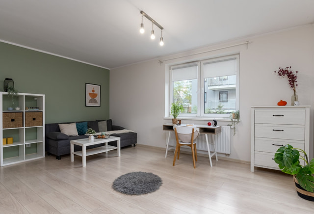 Double room P1 - entire studio apartment