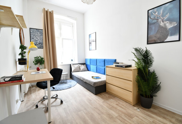 | Single room | 16m2 | City Center | Old Market |