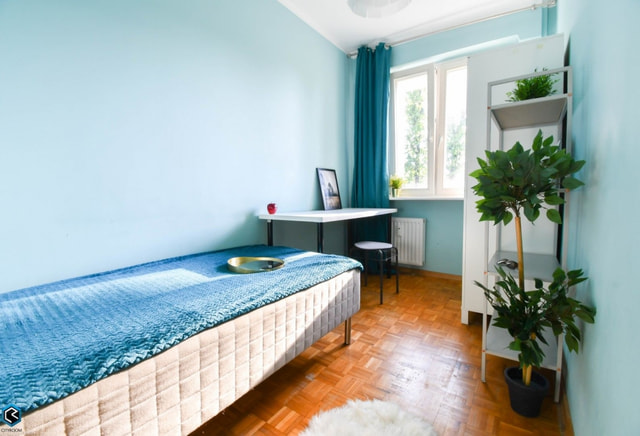 | Cozy single room | Oświecenia | Oświecenia Street |