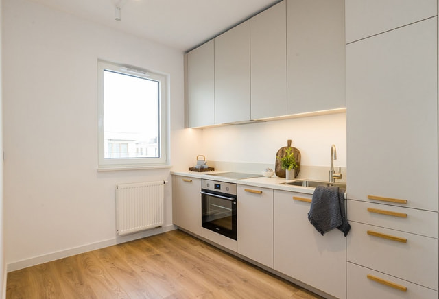 2-room | 44.71 m2 | Balcony | Internet included | Direct