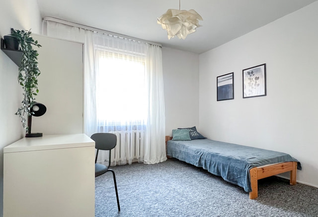 Single room with bathroom Wawrzyniec Starowiślna Vistula Boulevards Kazimierz