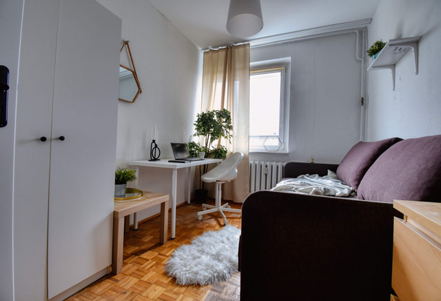 | Komfortowy pokój 1-osobowy | Sołacz | blisko Centrum |