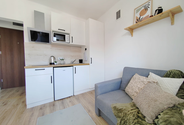 Studio, Wiejska Street, close to Capgemini, Tauron Arena (16)