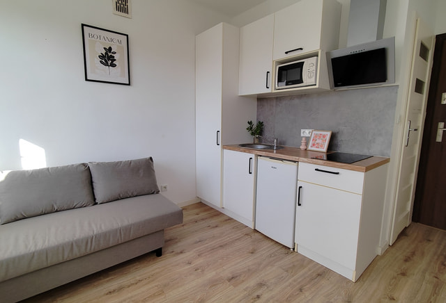 Квартира-студія, вул. Сільська місцевість, поблизу Capgemini, Tauron Arena (16)