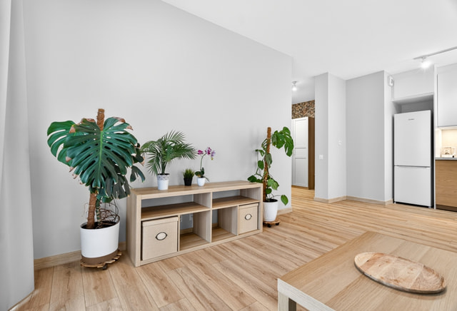 Komfortowe 2-pokojowe mieszkanie na wynajem – ul. Golisza