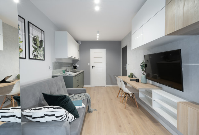 Mini studio apartment
